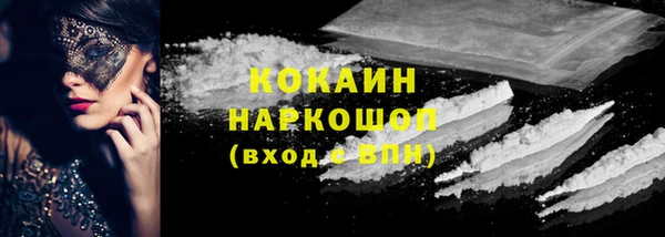 шишки Алексин