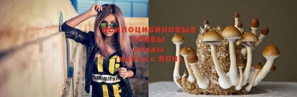 apvp Алексеевка
