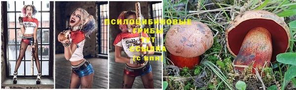 apvp Алексеевка