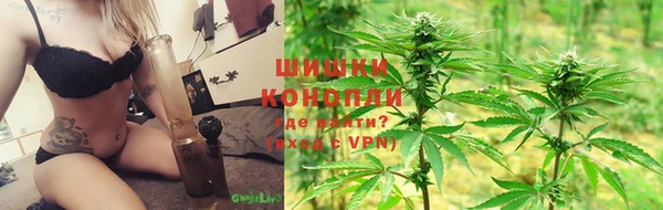 шишки Алексин