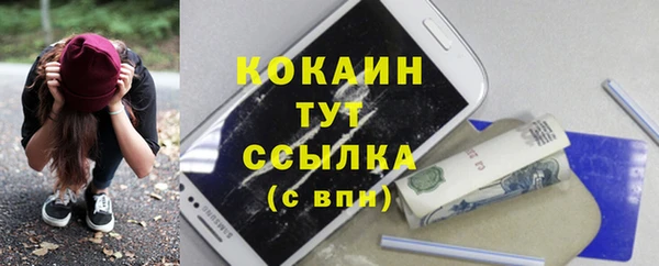 шишки Алексин